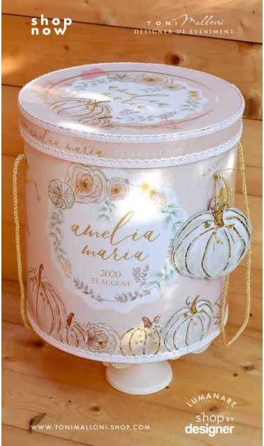 Trusou botez cu zana gold Tinkerbell si dovleci aurii cu somon si verde menta 1